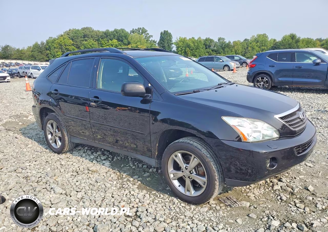2006 Lexus Rx 400 VIN:JTJHW31U760007215 - 4