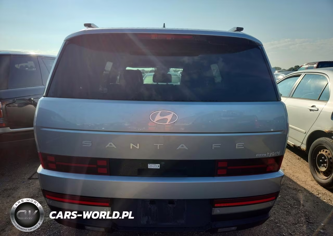 2024 Hyundai Santa Fe Limited VIN:5NMP3DG10RH011203 - 6