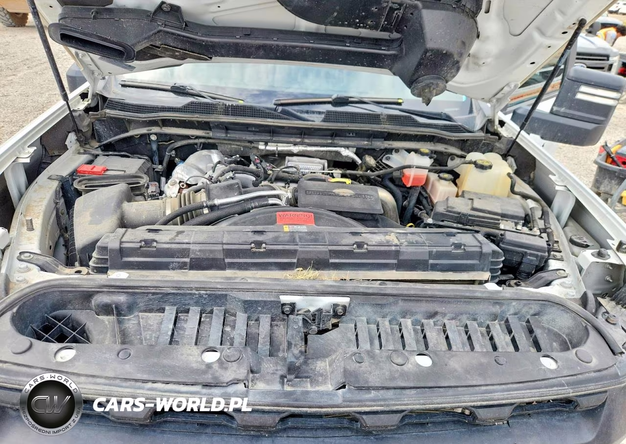 2023 Chevrolet Silverado K2500 Heavy Duty VIN:1GC4YLEY0PF113030 - 11