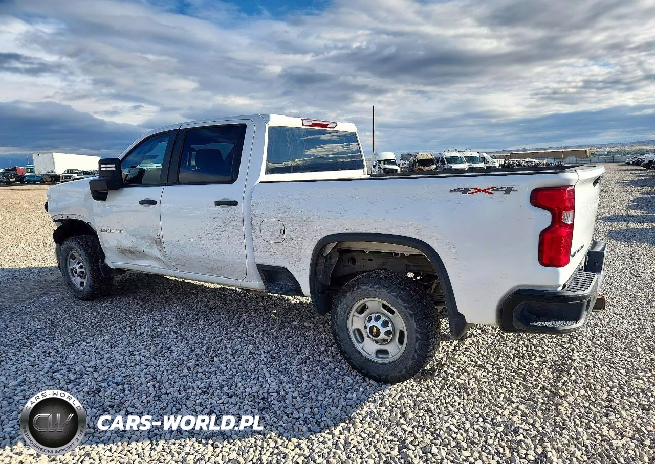 2023 Chevrolet Silverado K2500 Heavy Duty VIN:1GC4YLEY0PF113030 - 2