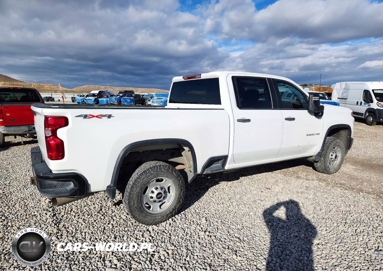 2023 Chevrolet Silverado K2500 Heavy Duty VIN:1GC4YLEY0PF113030 - 3