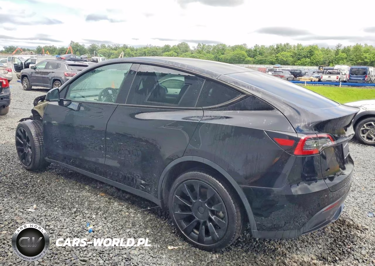 2023 Tesla Model Y VIN:7SAYGDEE7PA118939 - 2