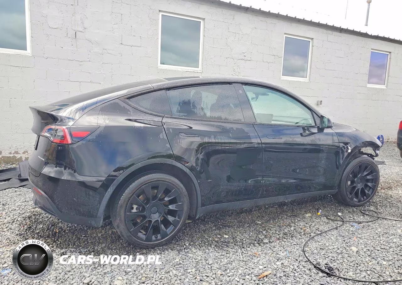 2023 Tesla Model Y VIN:7SAYGDEE7PA118939 - 3