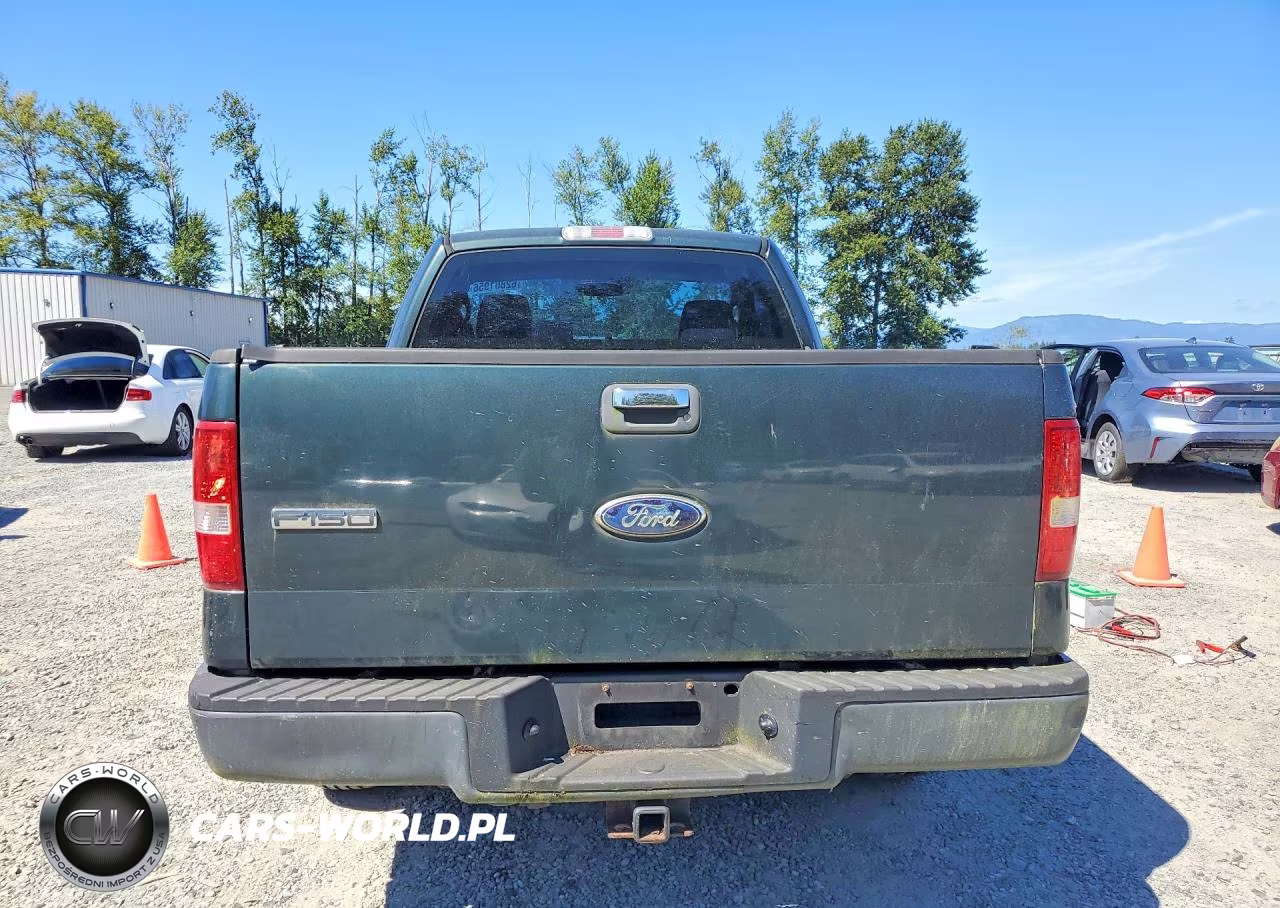 2006 Ford F150 VIN:1FTRF12256NB76483 - 6