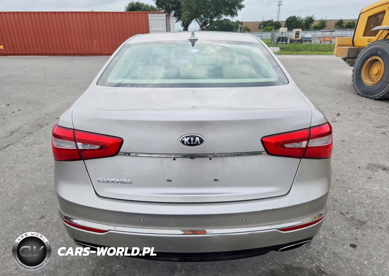 2014 Kia Cadenza Premium VIN:KNALN4D74E5133798 - 6