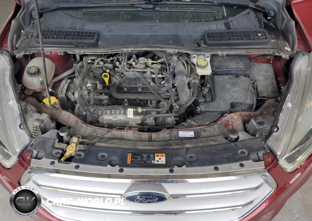 2019 Ford Escape Sel VIN:1FMCU0HD3KUA50620 - 12