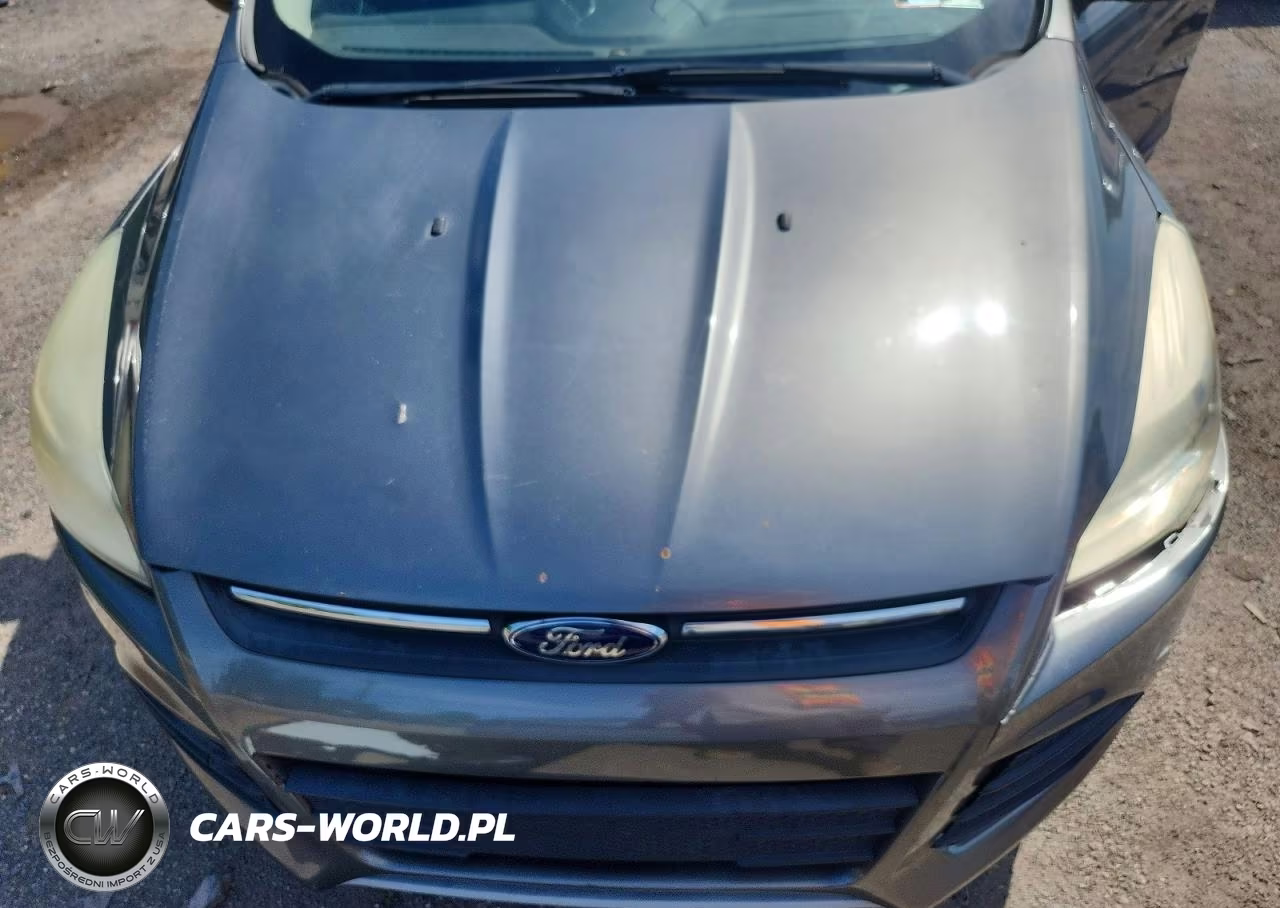 2014 Ford Escape Se VIN:1FMCU0GX8EUD05911 - 12