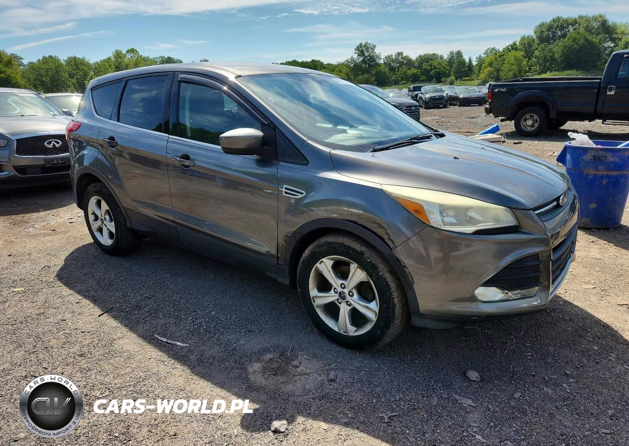 2014 Ford Escape Se VIN:1FMCU0GX8EUD05911 - 4
