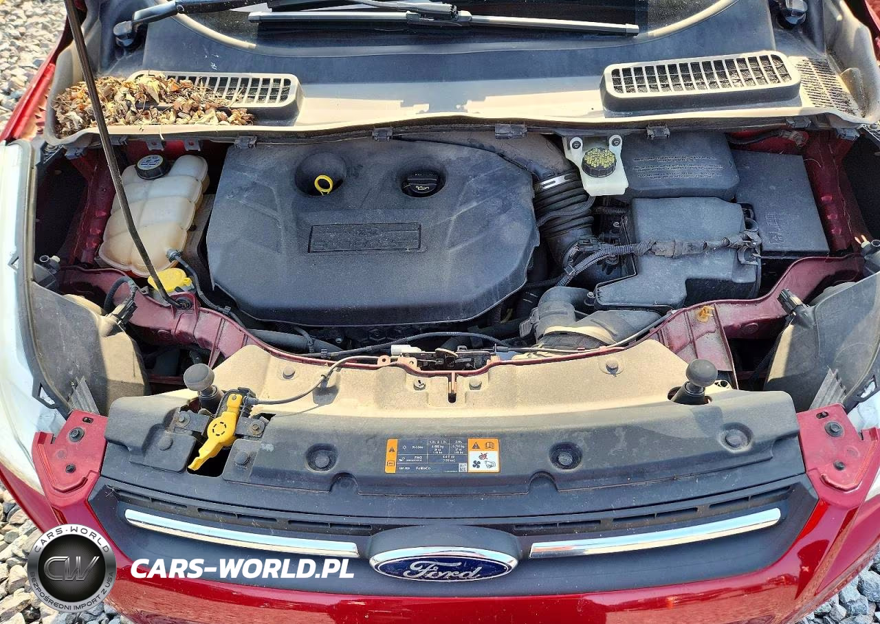 2013 Ford Escape Se VIN:1FMCU0G99DUD15878 - 12