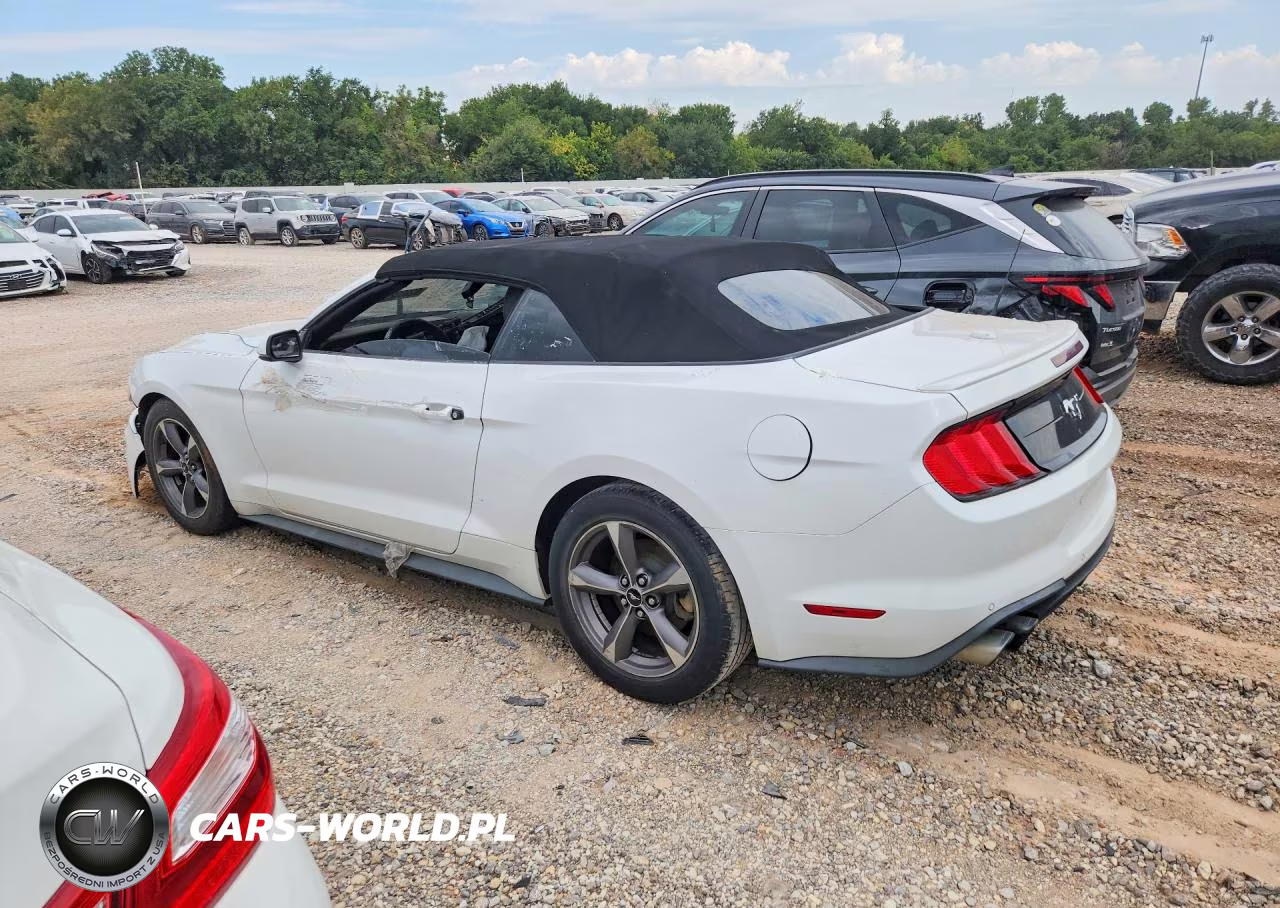 2020 Ford Mustang VIN:1FATP8UH9L5113580 - 2