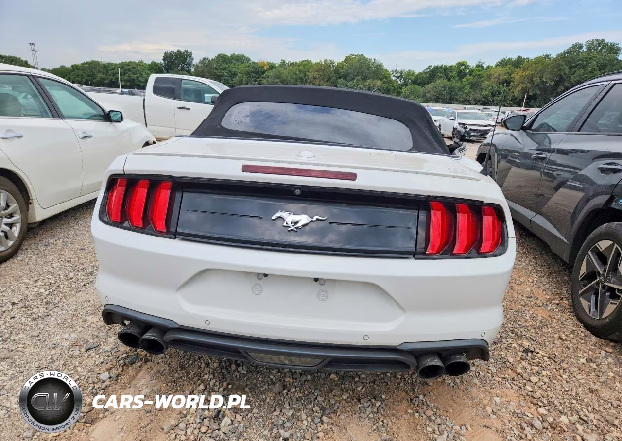 2020 Ford Mustang VIN:1FATP8UH9L5113580 - 6