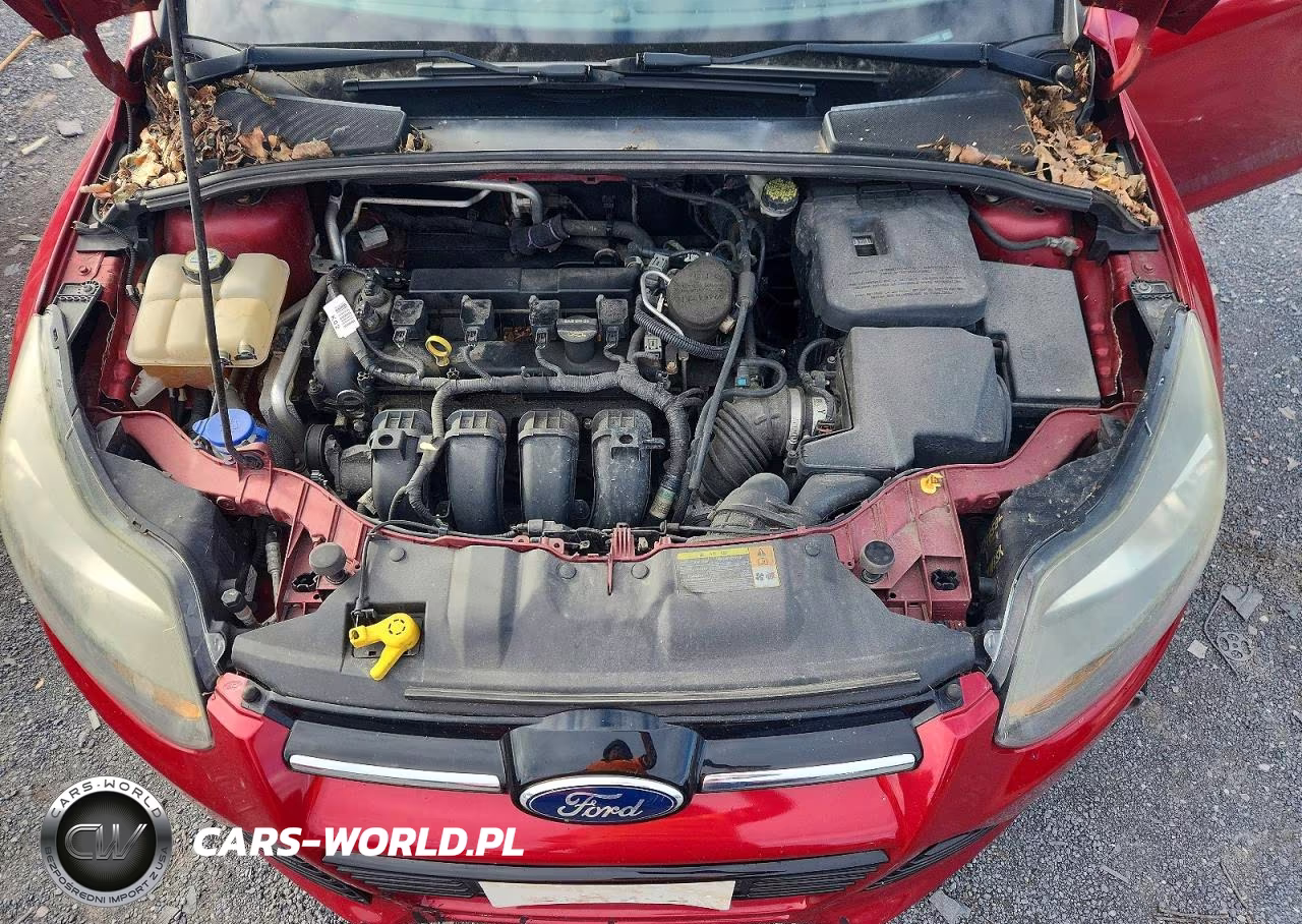 2012 Ford Focus Titanium VIN:1FAHP3N29CL308982 - 11