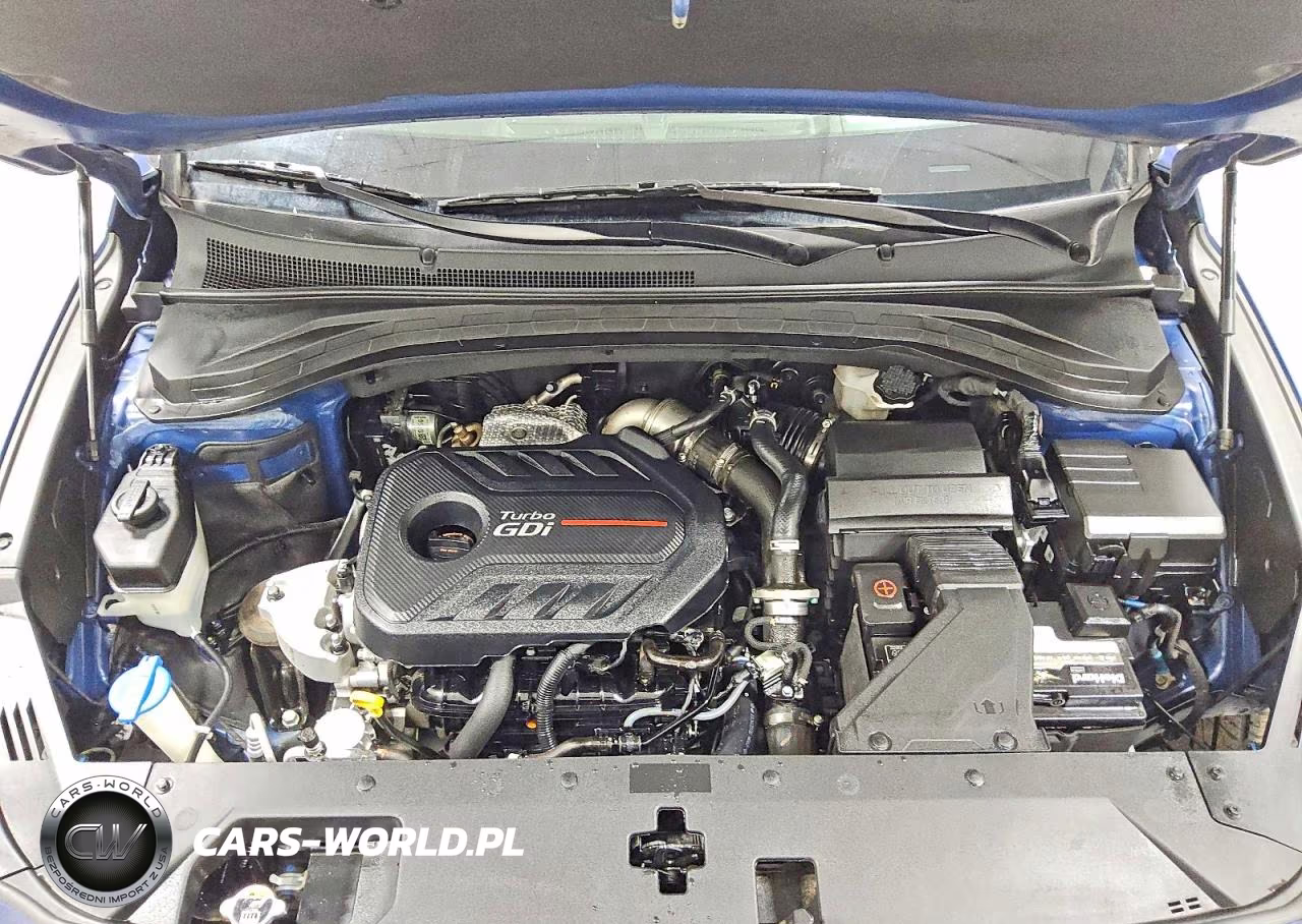 2020 Hyundai Santa Fe Limited 2.0T VIN:5NMS5CAA6LH243044 - 12