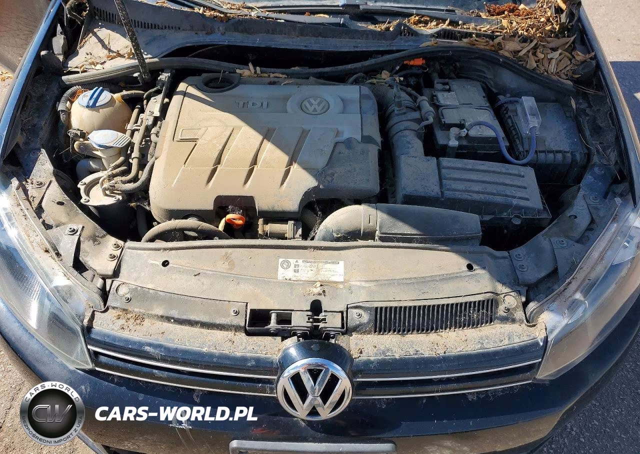 2012 Volkswagen Jetta Tdi VIN:3VWML7AJ4CM659061 - 11