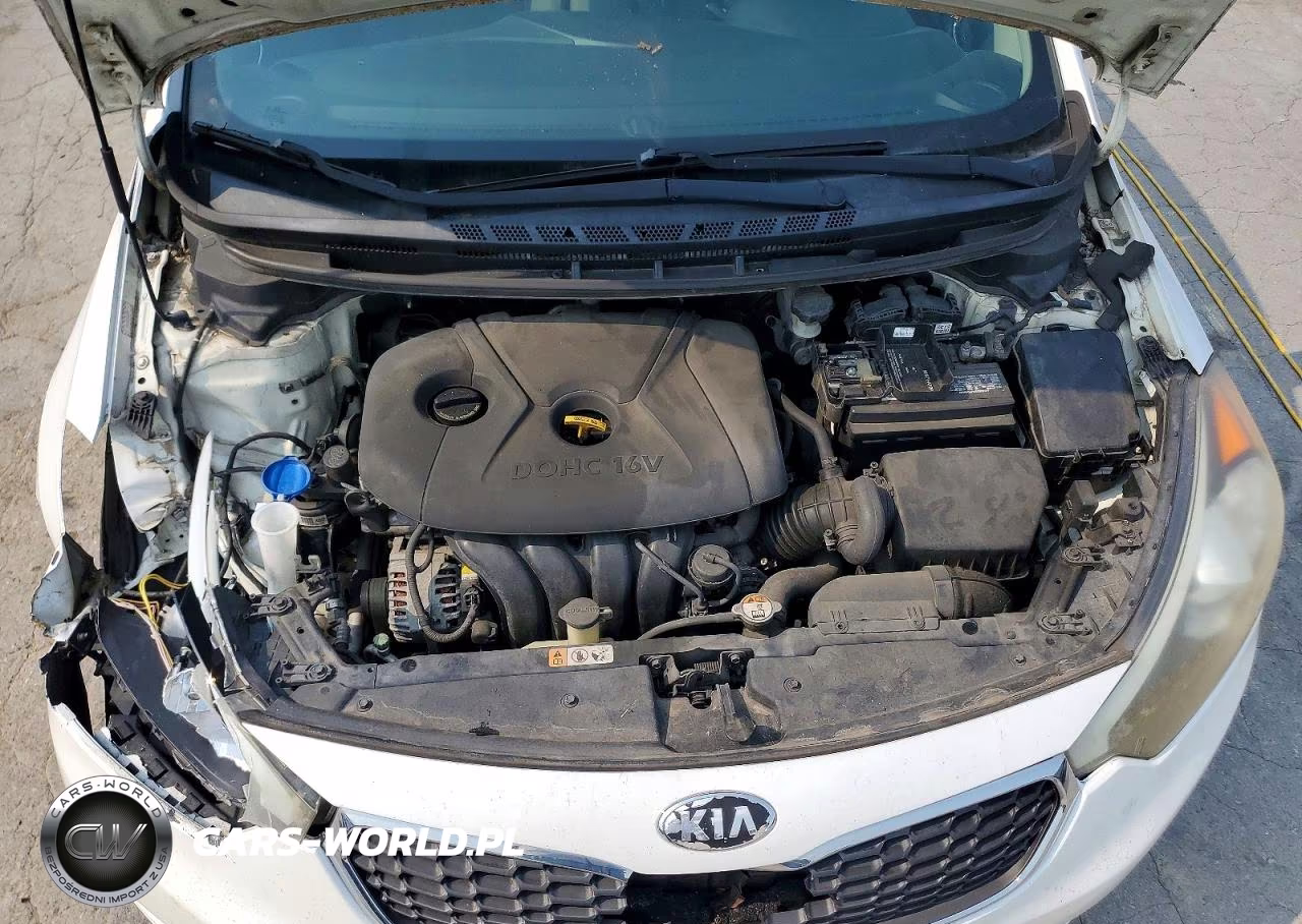 2015 Kia Forte Lx VIN:KNAFX4A6XF5339244 - 11