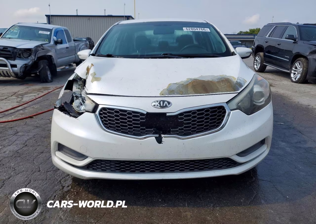 2015 Kia Forte Lx VIN:KNAFX4A6XF5339244 - 5