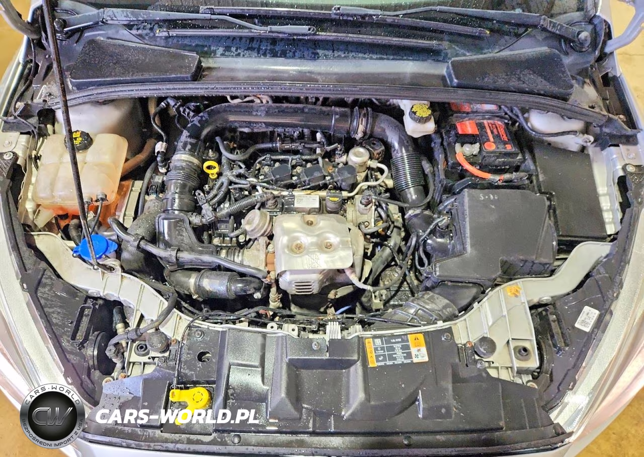 2018 Ford Focus Se VIN:1FADP3FE1JL320208 - 11