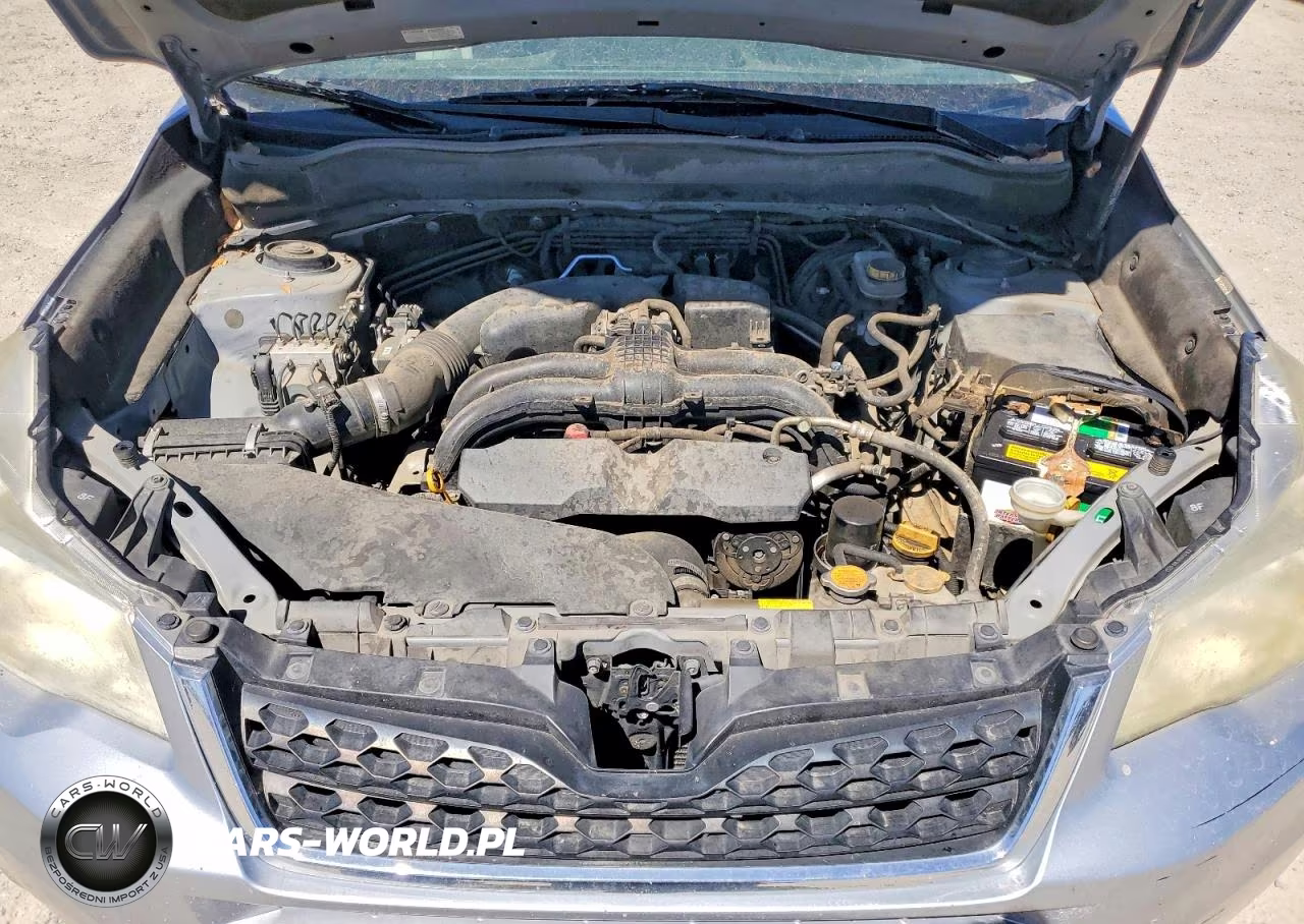 2014 Subaru Forester 2.5I Premium VIN:JF2SJAEC9EH542853 - 11