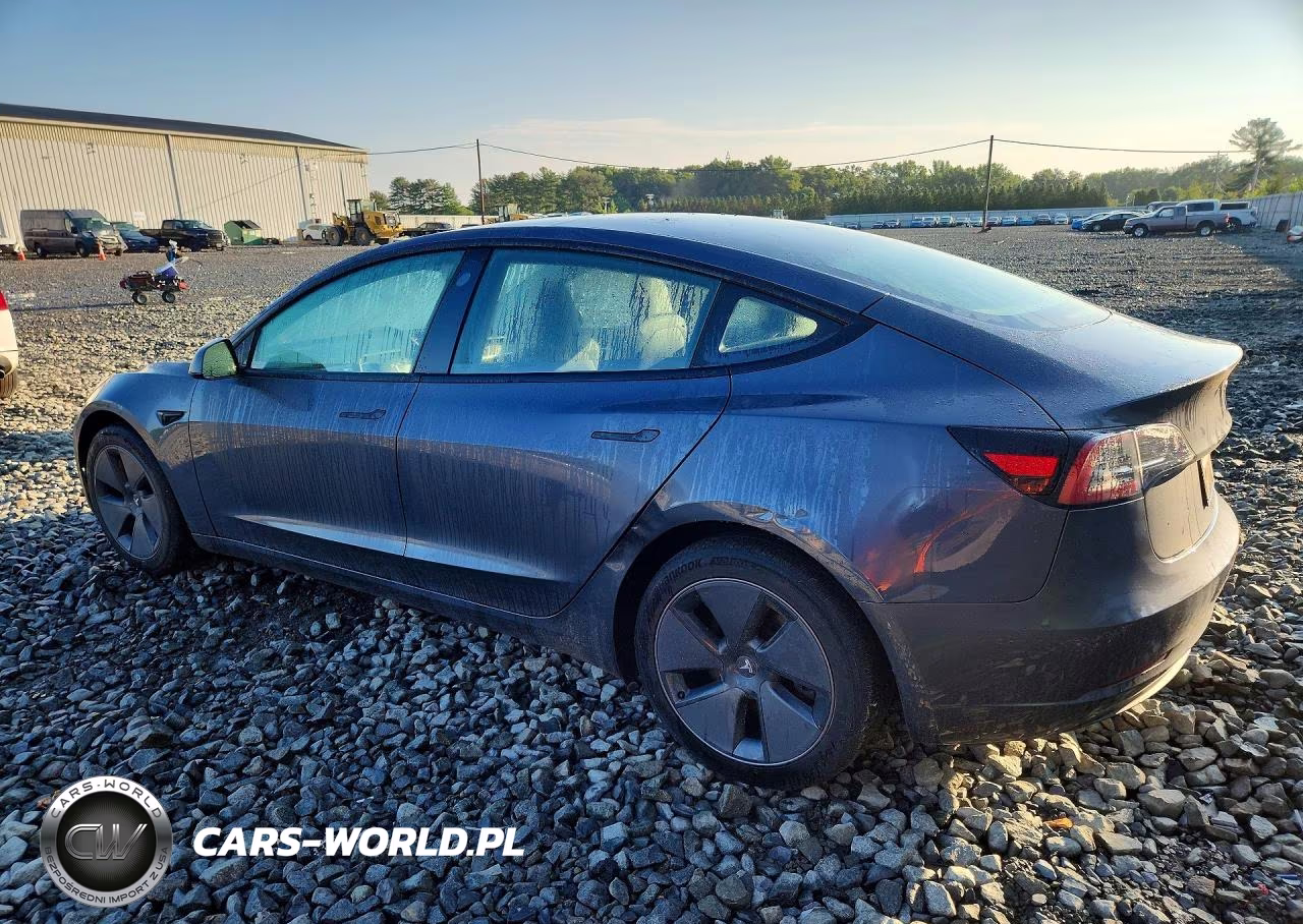 2023 Tesla Model 3 VIN:5YJ3E1EB3PF634431 - 2