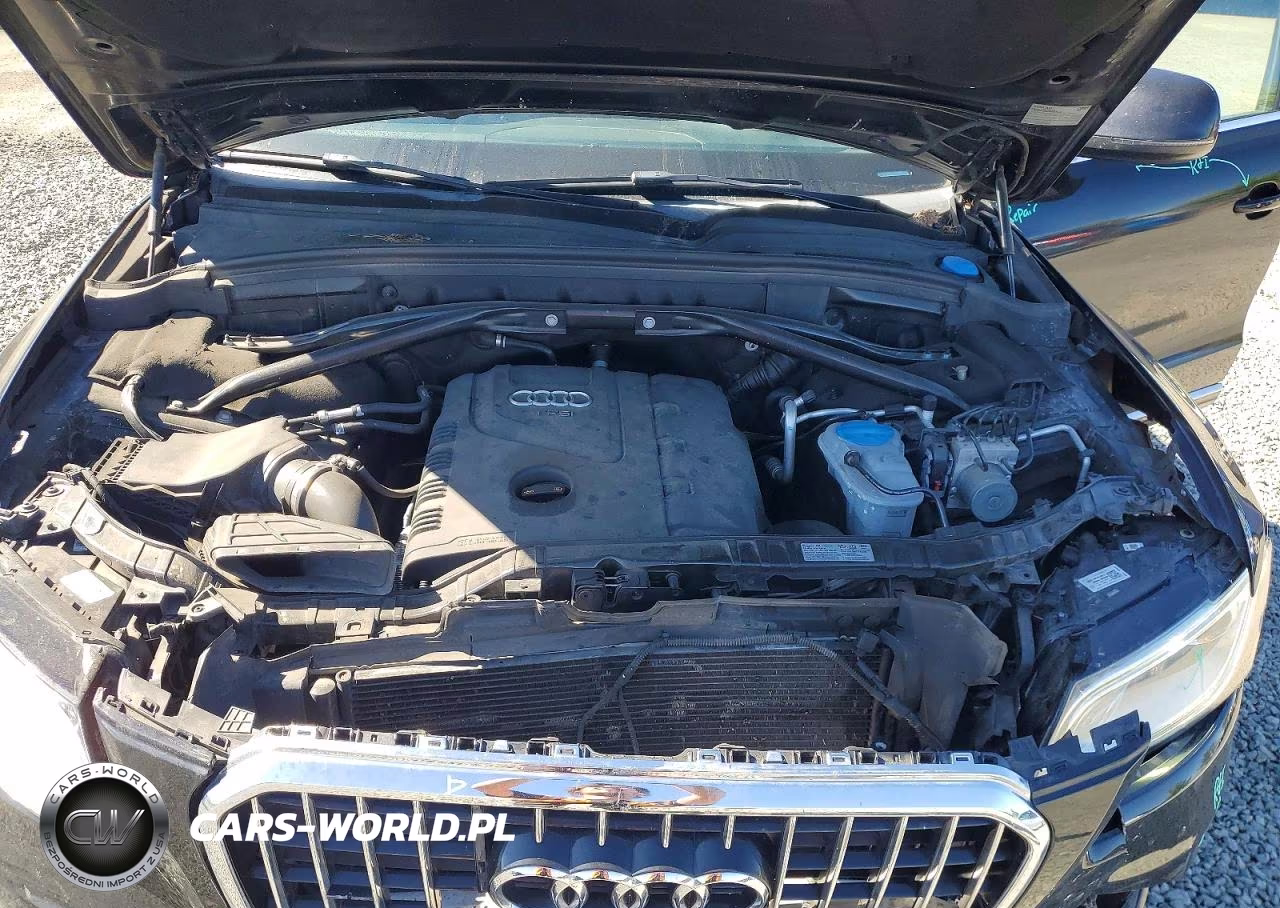 2013 Audi Q5 Premium Plus VIN:WA1LFAFP9DA075537 - 12