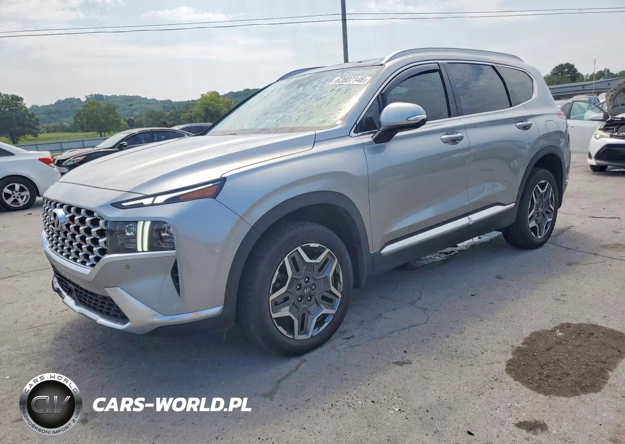 2023 Hyundai Santa Fe Limited VIN:5NMS5DA11PH023290 - 1