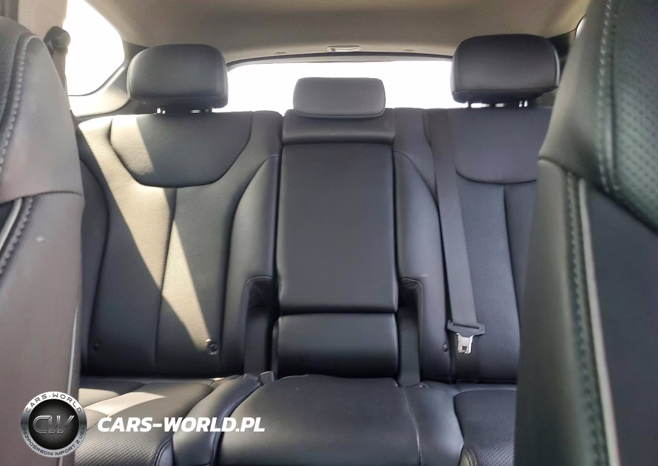 2023 Hyundai Santa Fe Limited VIN:5NMS5DA11PH023290 - 10