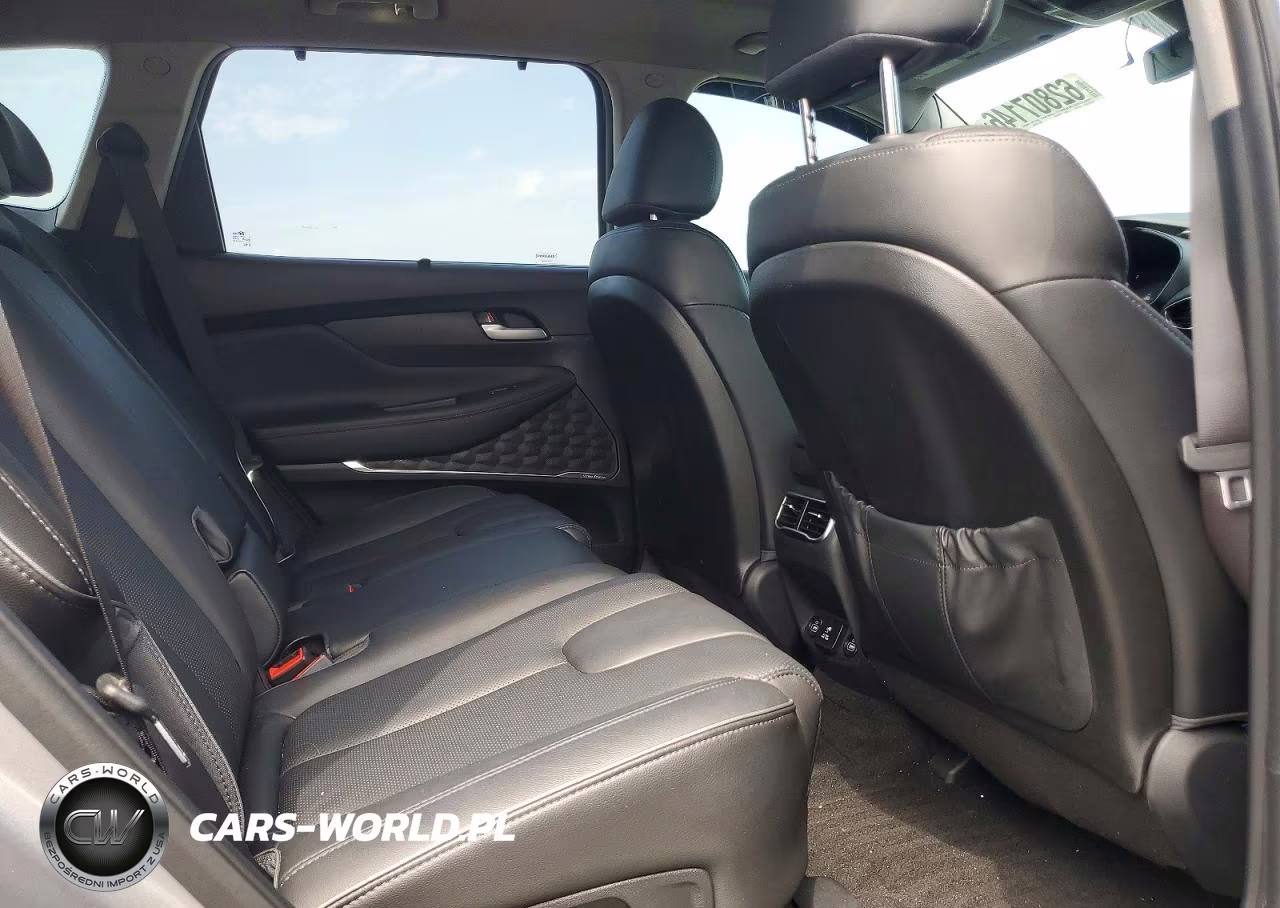2023 Hyundai Santa Fe Limited VIN:5NMS5DA11PH023290 - 11