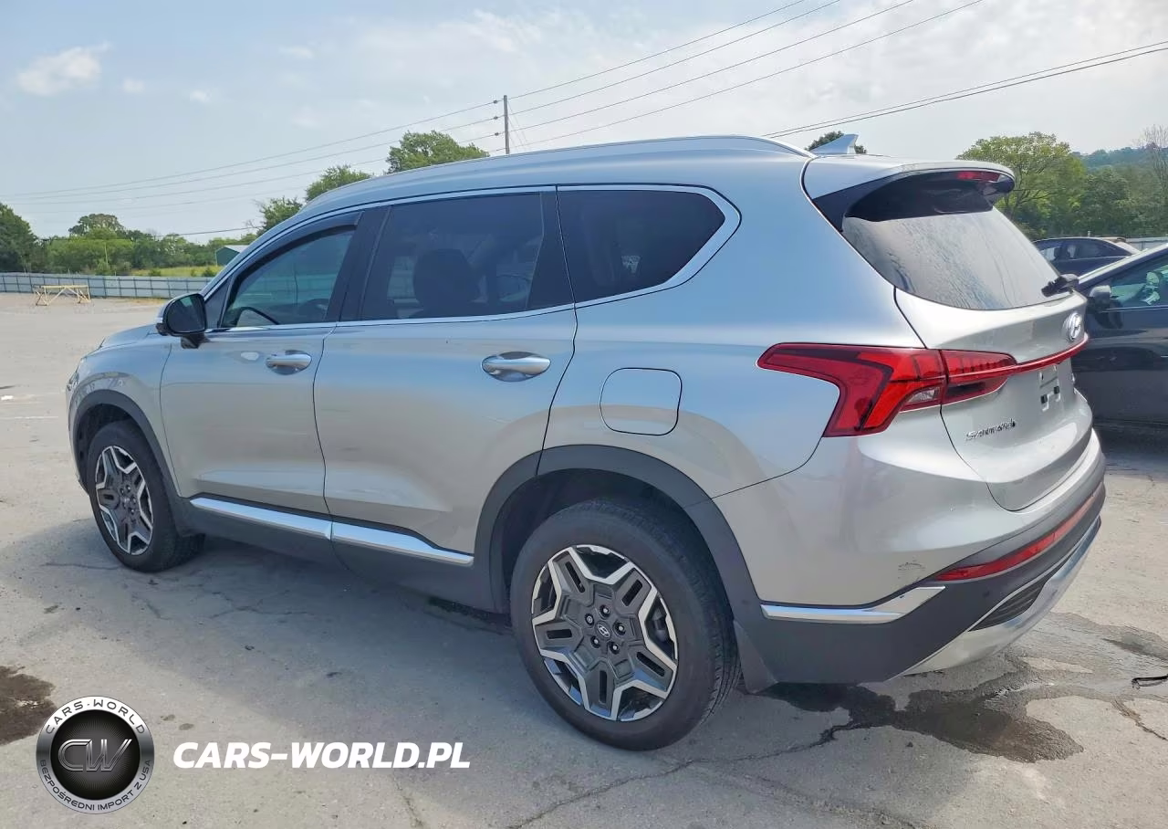 2023 Hyundai Santa Fe Limited VIN:5NMS5DA11PH023290 - 2