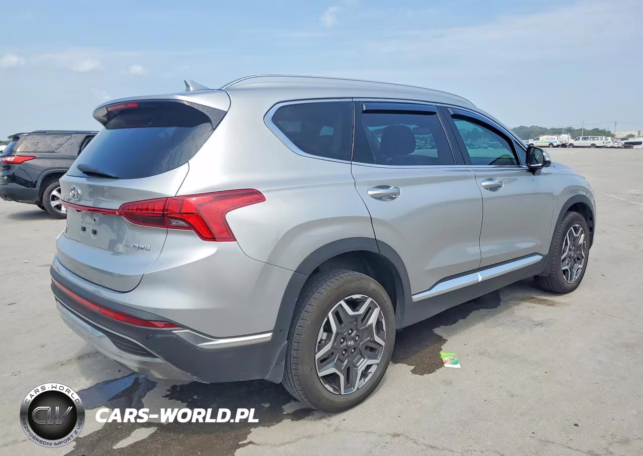 2023 Hyundai Santa Fe Limited VIN:5NMS5DA11PH023290 - 3