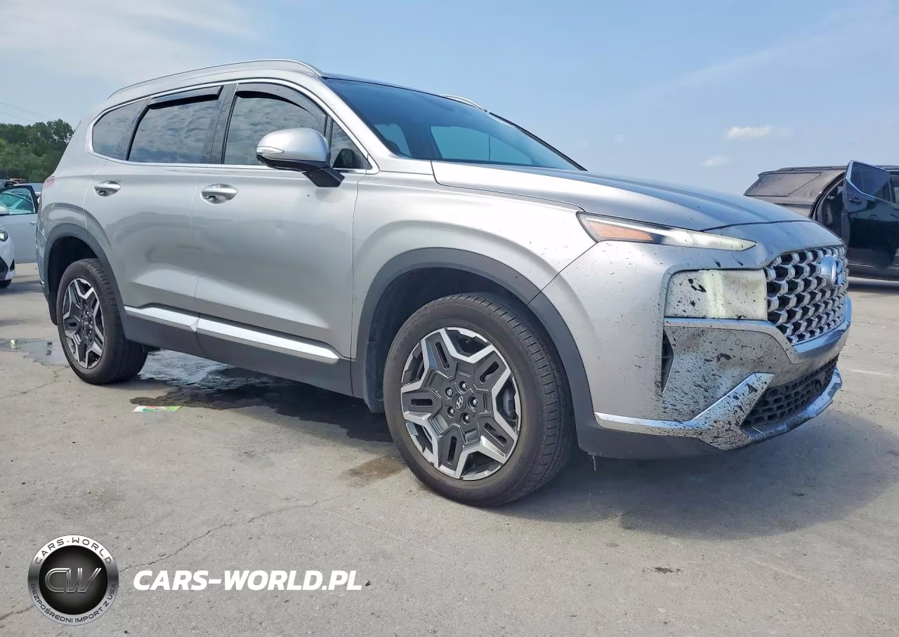 2023 Hyundai Santa Fe Limited VIN:5NMS5DA11PH023290 - 4