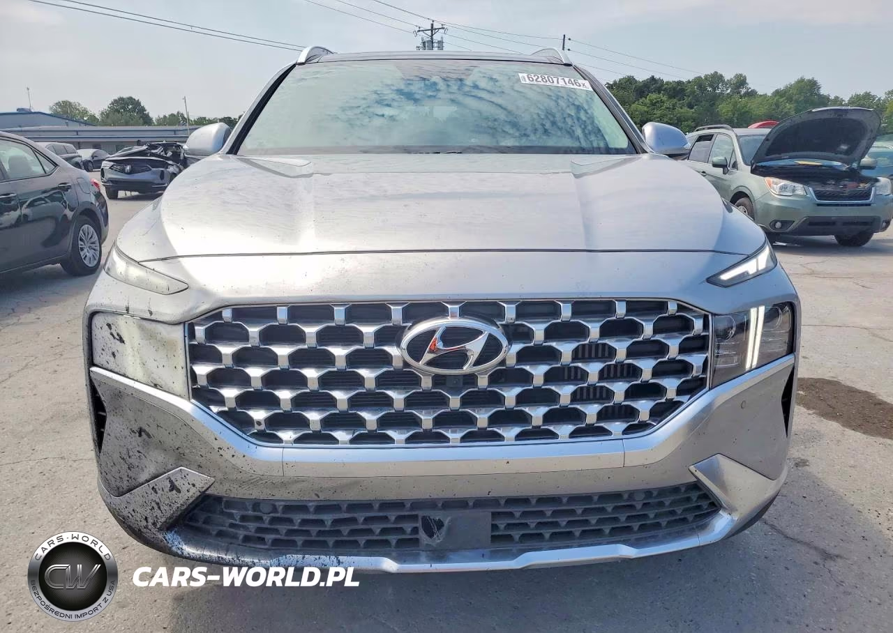 2023 Hyundai Santa Fe Limited VIN:5NMS5DA11PH023290 - 5