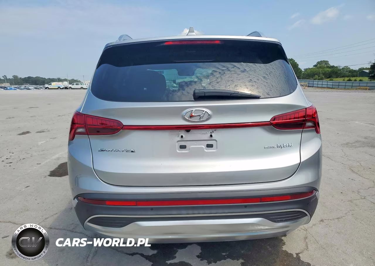 2023 Hyundai Santa Fe Limited VIN:5NMS5DA11PH023290 - 6