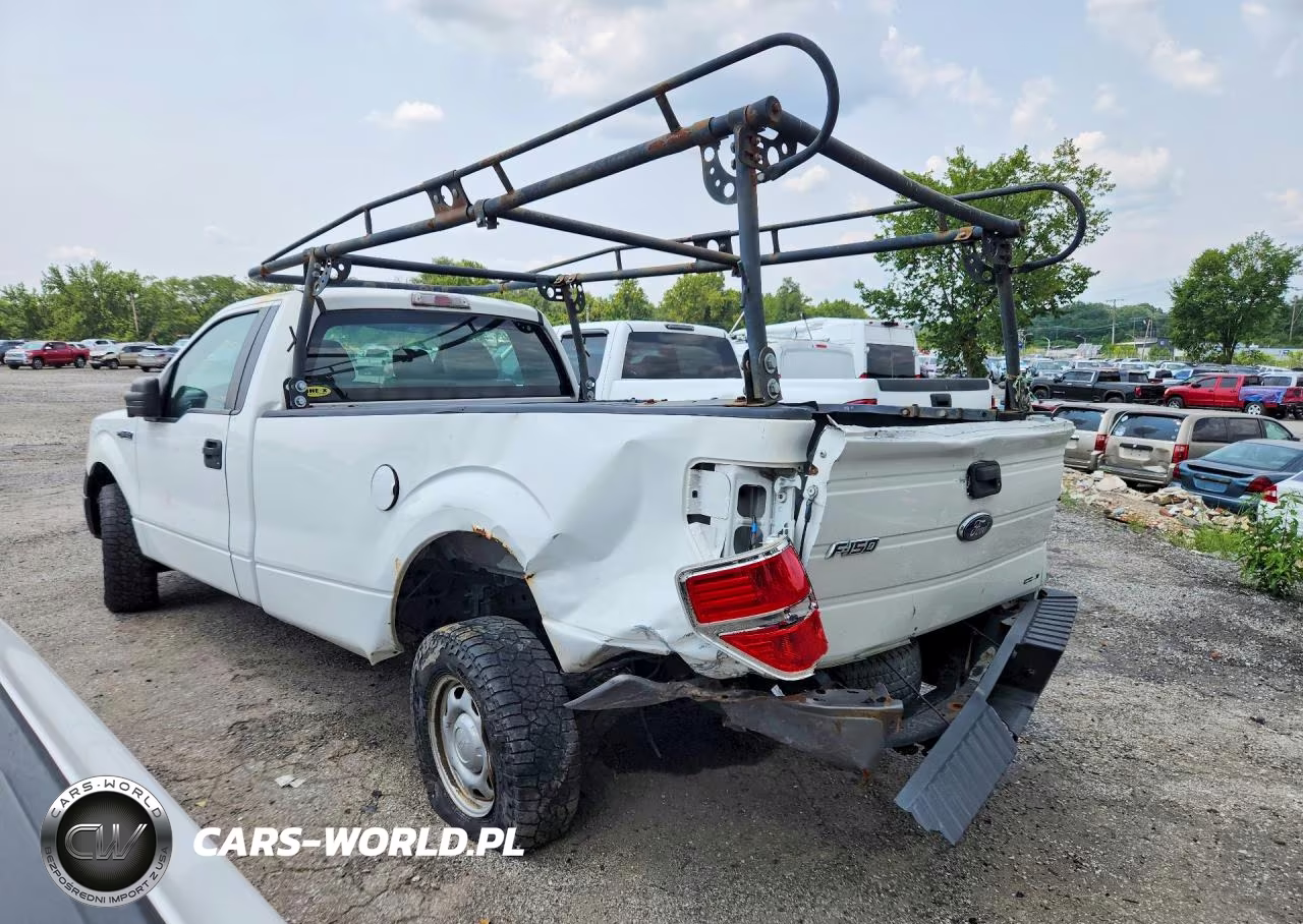 2013 Ford F150 VIN:1FTMF1CM3DKE62566 - 2
