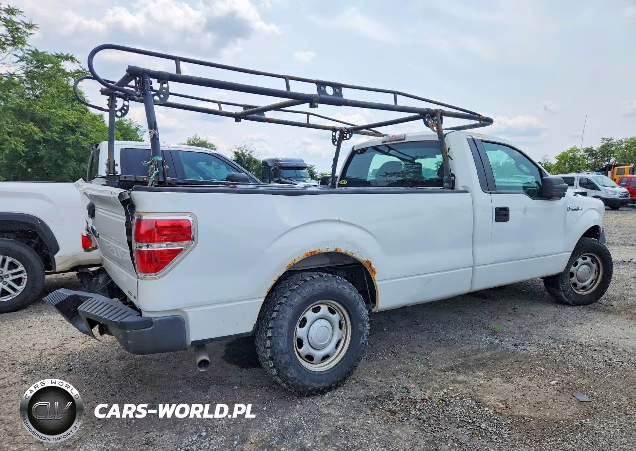 2013 Ford F150 VIN:1FTMF1CM3DKE62566 - 3
