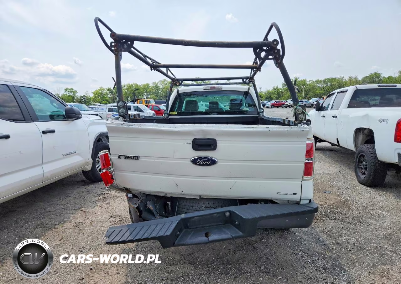 2013 Ford F150 VIN:1FTMF1CM3DKE62566 - 6