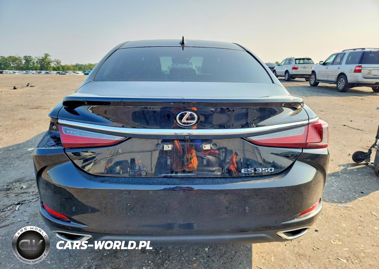 2022 Lexus Es 350 Base VIN:58ADZ1B10NU130092 - 6