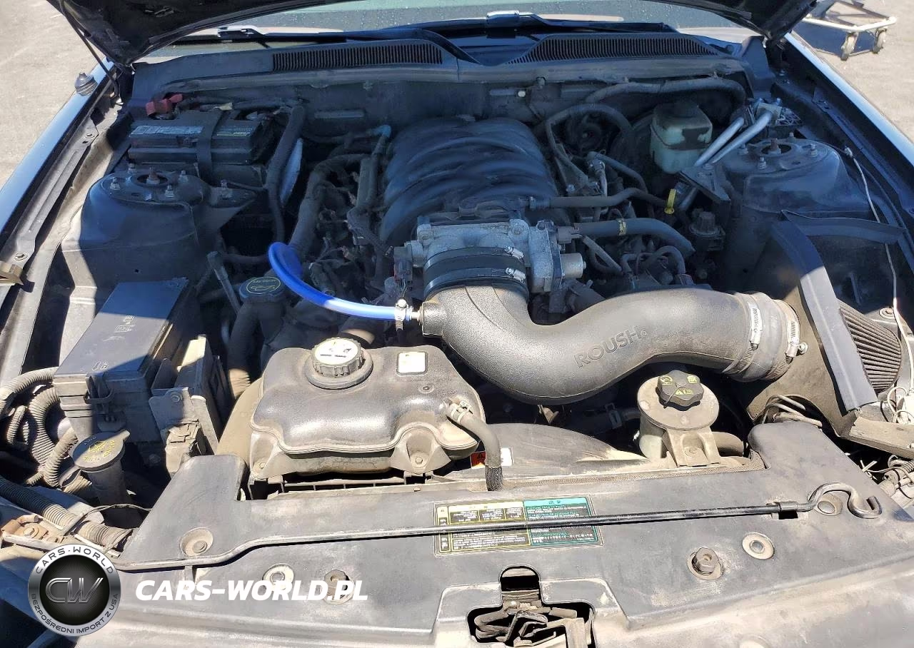 2006 Ford Mustang Gt VIN:1ZVFT82H665102267 - 11