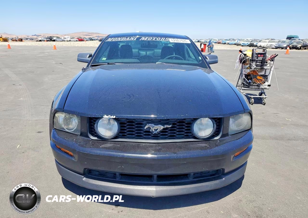 2006 Ford Mustang Gt VIN:1ZVFT82H665102267 - 5