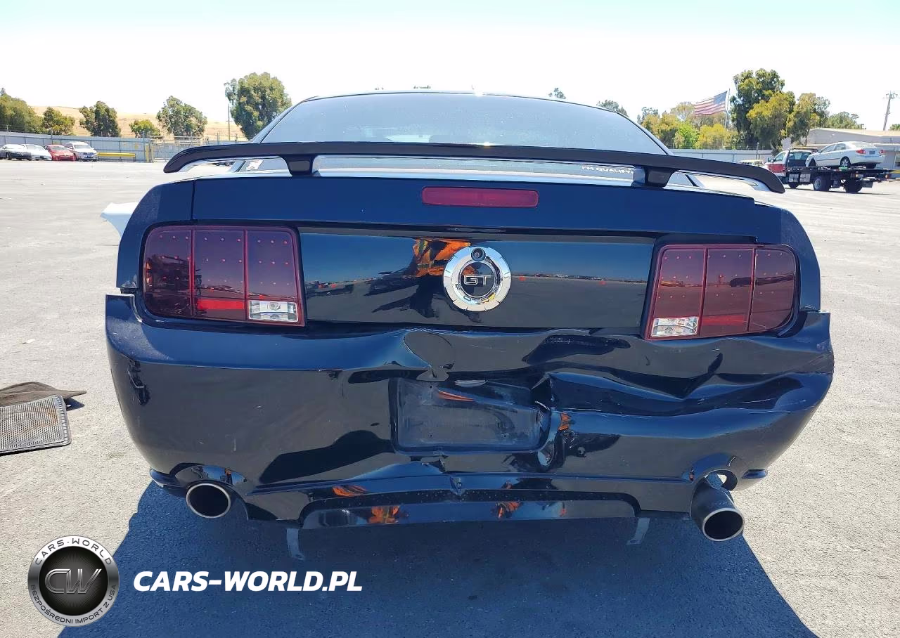 2006 Ford Mustang Gt VIN:1ZVFT82H665102267 - 6