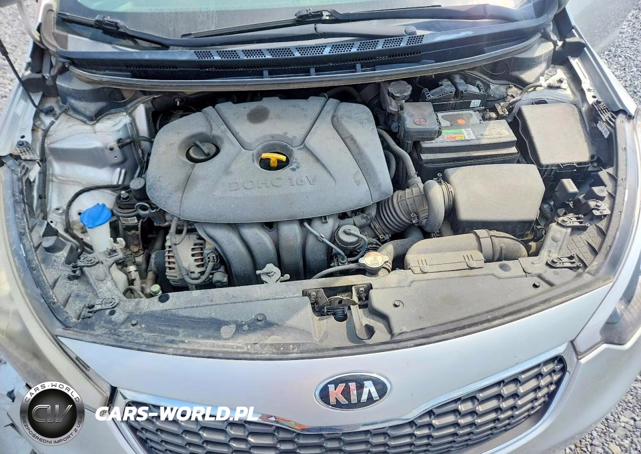 2016 Kia Forte Lx VIN:KNAFX4A65G5446252 - 11