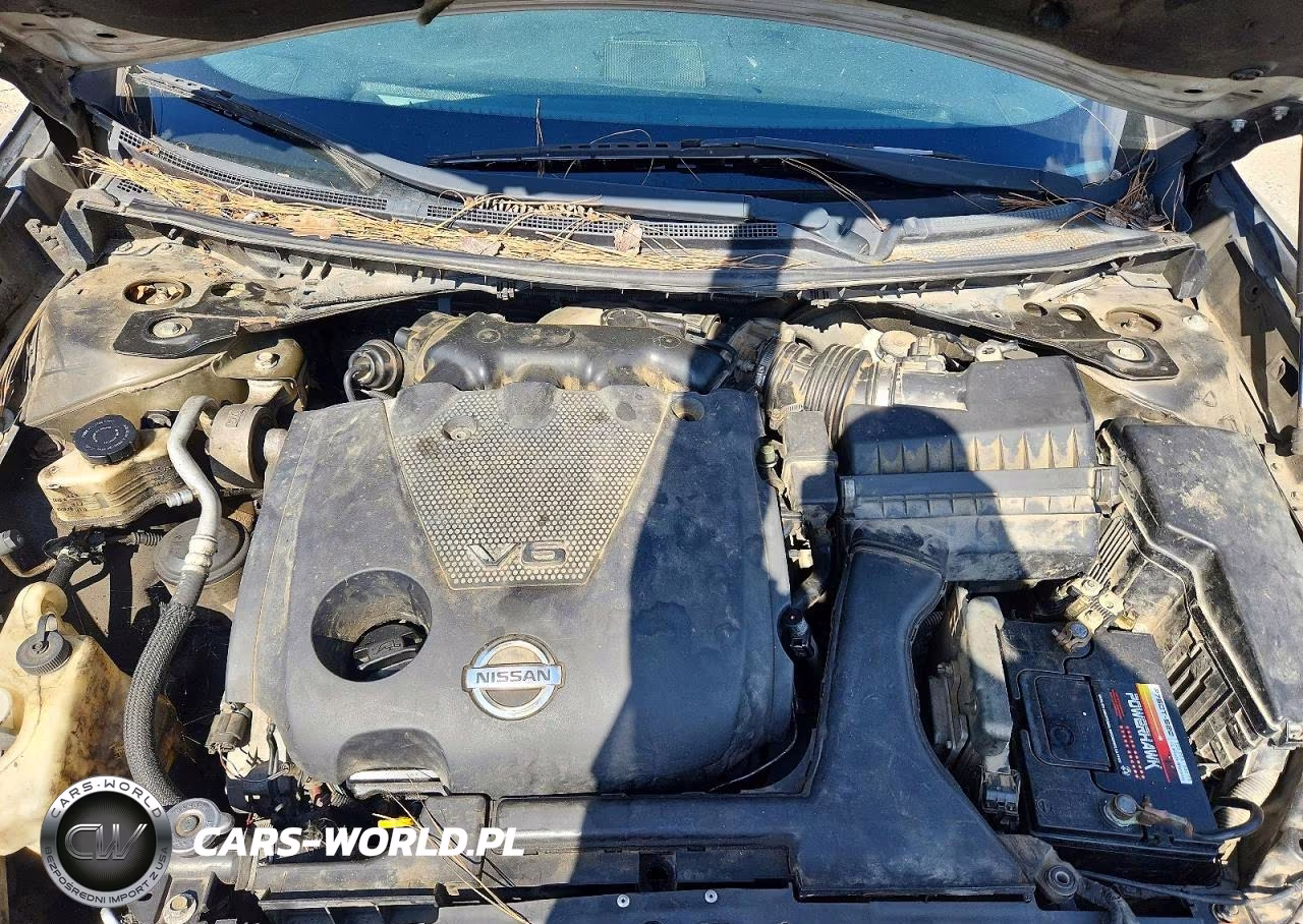 2013 Nissan Maxima S VIN:1N4AA5AP4DC825950 - 11
