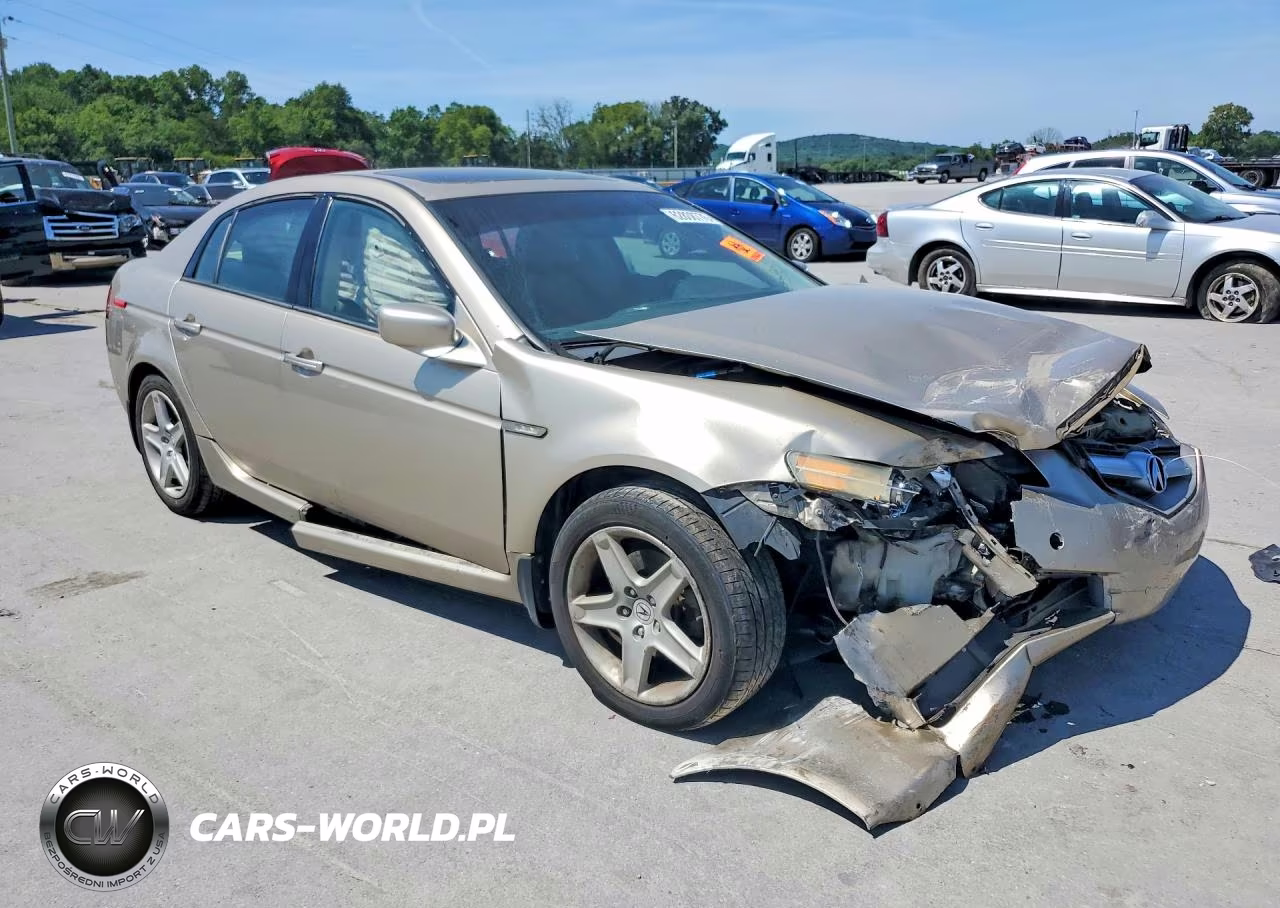 2004 Acura Tl VIN:19UUA66244A061332 - 4