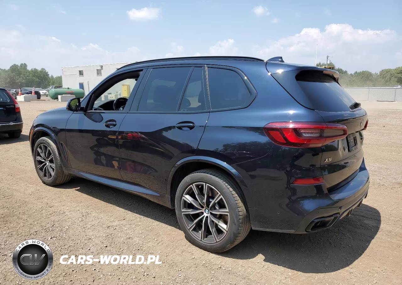 2023 BMW X5 M50I VIN:5UXJU4C01P9R91533 - 2