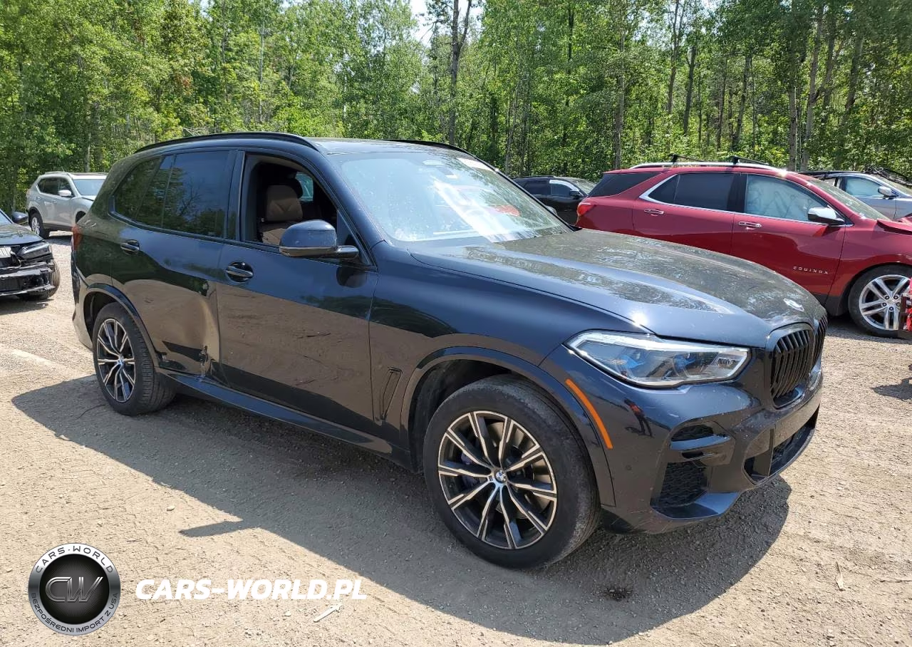 2023 BMW X5 M50I VIN:5UXJU4C01P9R91533 - 4