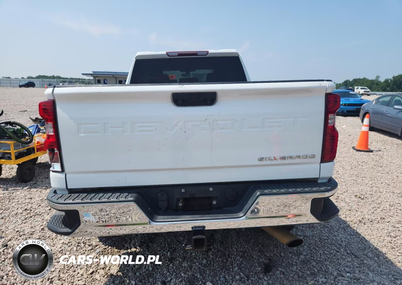 2020 Chevrolet Silverado K2500 Heavy Duty VIN:1GC1YLE73LF103189 - 6