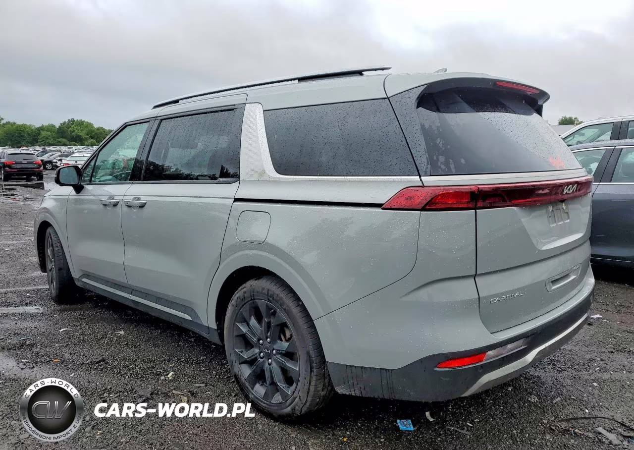2024 Kia Carnival Sx VIN:KNDNE5H38R6307459 - 2