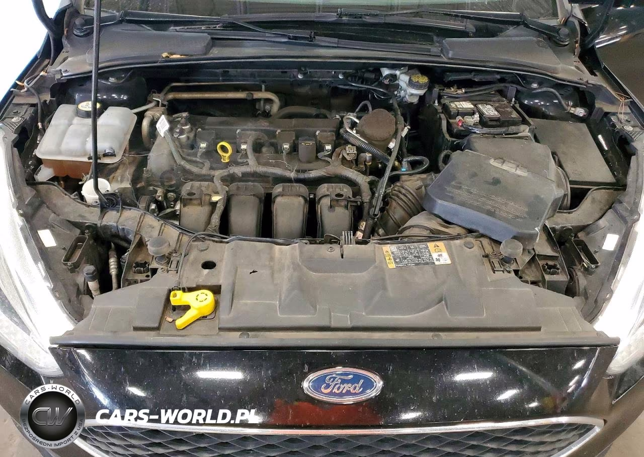 2016 Ford Focus Se VIN:1FADP3K21GL294004 - 12