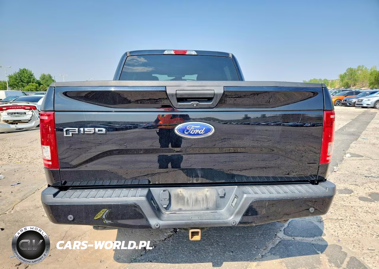 2017 Ford F150 Supercrew VIN:1FTEW1EP4HKE50766 - 6