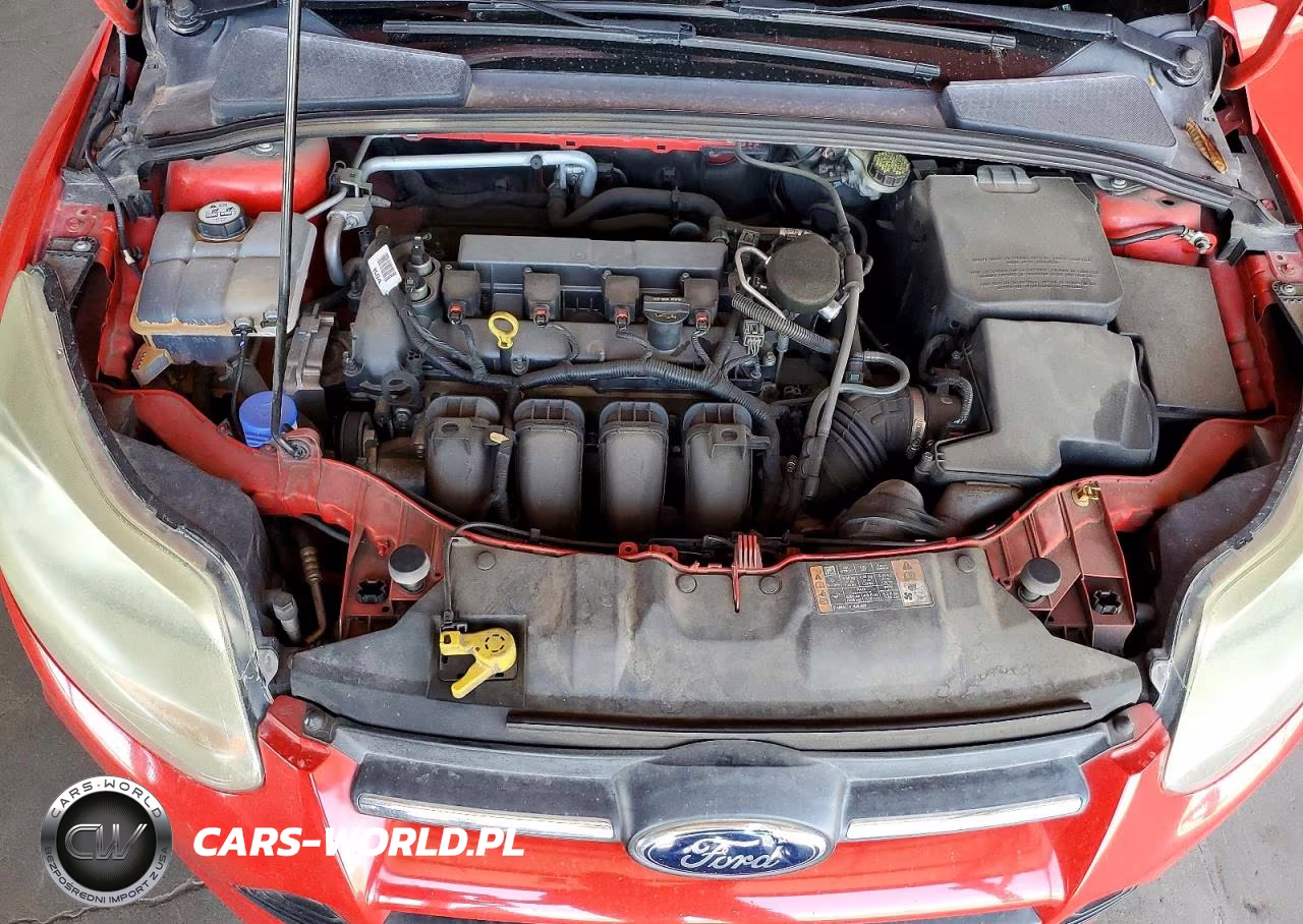2014 Ford Focus Se VIN:1FADP3F20EL318283 - 11