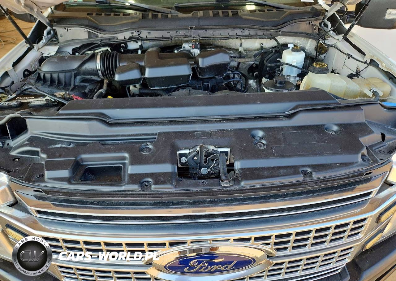 2019 Ford F250 Super Duty VIN:1FT7W2B63KED40971 - 11